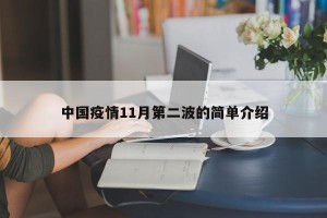 中国疫情11月第二波的简单介绍